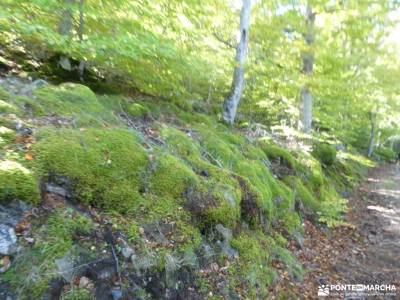 Tierras de Soria y Zaragoza - Parque Natural del Moncayo; dehesa boyal alpujarra granadina valdemaqu